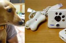 Camera Your Pet Wears