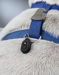 Pet-Tracking Gadgets Image 3