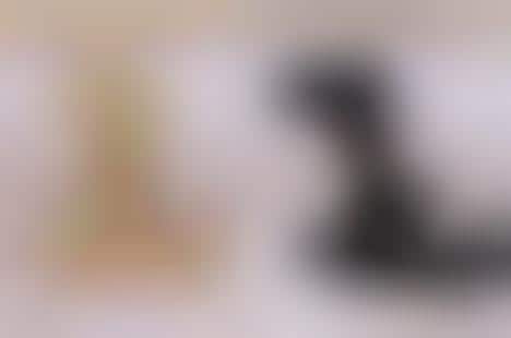 Villainous Canine Necklaces