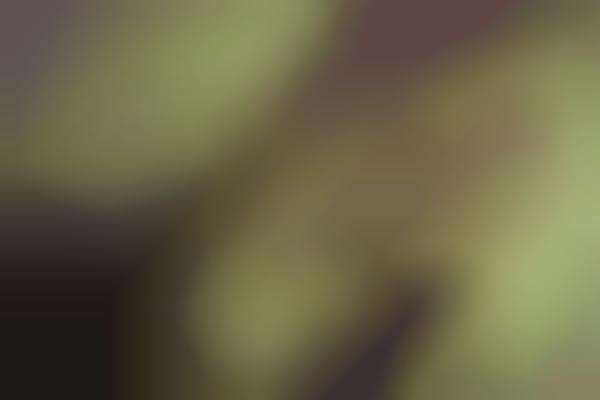 Muted Minimalist Images