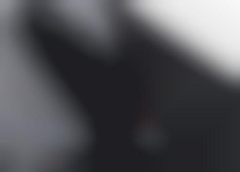 Gripping Luggage Readers