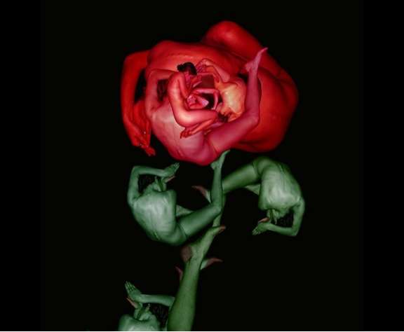 Human-Hiding Floratography