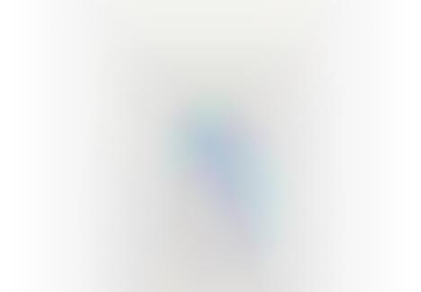 City Conservation Cups