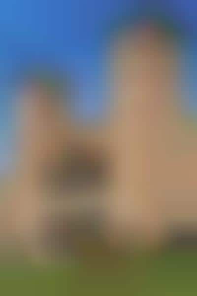 Live Webcam Networking