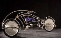 Environmentally Evolved Mechanics Image 2