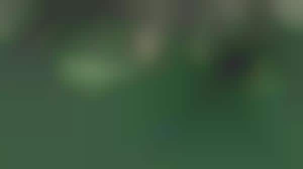 Pleasure-Promoting Carvertising