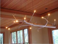 Bony Branch Illuminators Image 4
