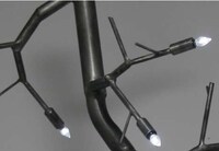 Bony Branch Illuminators Image 5