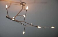 Bony Branch Illuminators Image 6