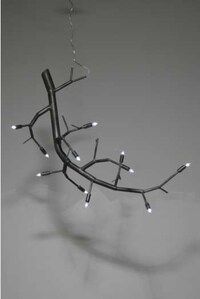 Bony Branch Illuminators Image 7