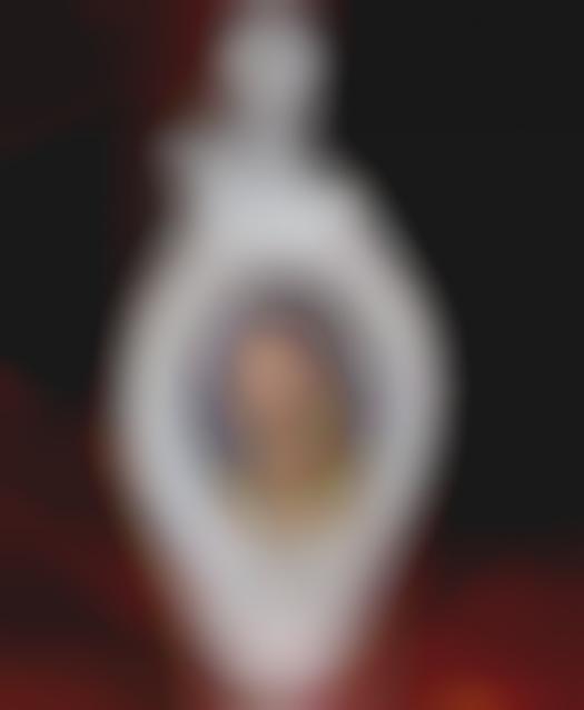 Political Toilet Artifacts