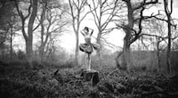 Serene Solo Photography Image 6