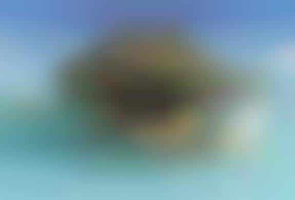 Miniature Ocean Resorts