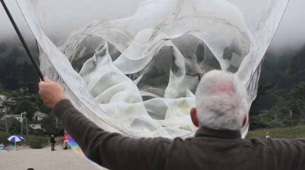 Brilliant Behemoth Bubbles