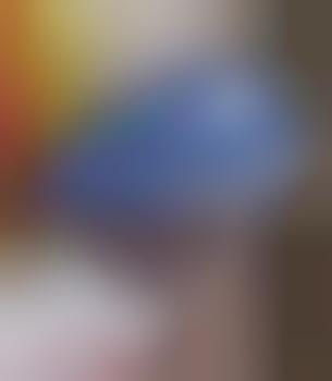 Jaws Wall Mounts