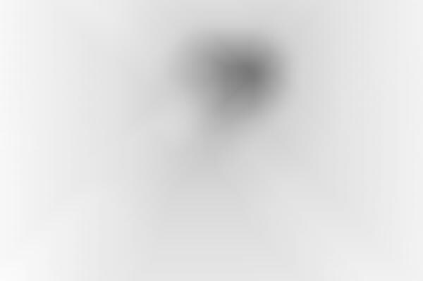Serenely Secretive Photography