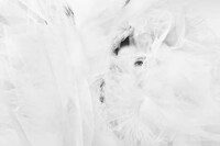 Serenely Secretive Photography Image 5