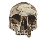 Wooden Wall Art Image 2