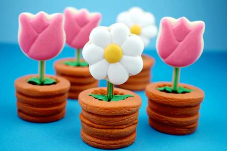 Tantalizing Terracotta Cookies