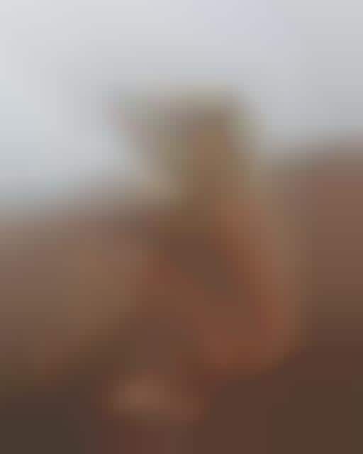 Masquerading Nude Models