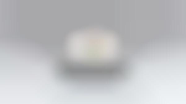 Search Engine Laptops