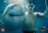 Adventurous Camera Campaigns