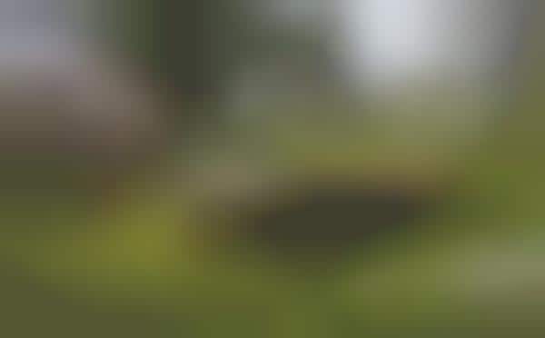 Tilt-Shift Tea Houses