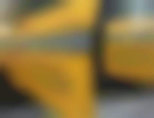 Free Fast-Food Taxis