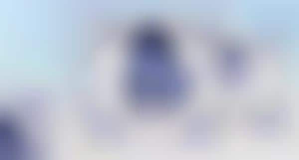 Plane Portrait Competitions