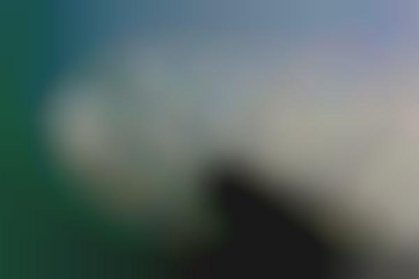 Scary Surf Shots