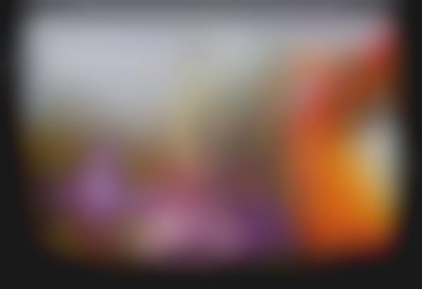 Virtual Reality Snapshots