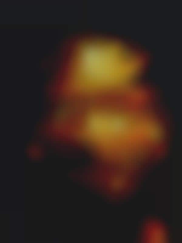 Distinctive Decomposed Portraits
