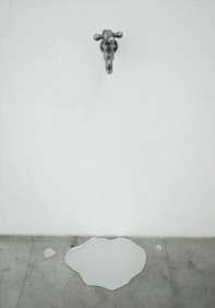 Liquid Mirrors Image 8