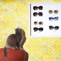Sunglass-Posing Photography Image 5