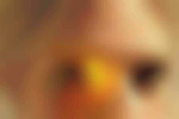 Digital Eye Makeup