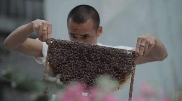 Buzzworthy Beekeeper Ads