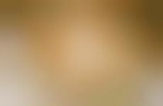 Nerdy Java Photography