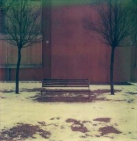 Stark Polaroid Photos Image 8