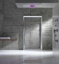 Open-Ceiling Showers Image 5