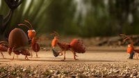 Adorable Insect Ads Image 2