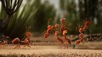 Adorable Insect Ads Image 6