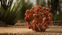 Adorable Insect Ads Image 8