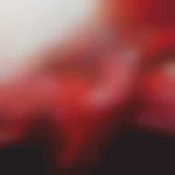 Distorted Demonic Paintings