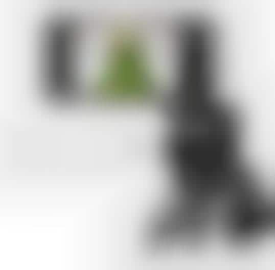 Pro Photo Phone Add-Ons