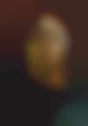 Moody Celebrity Muse Portraits