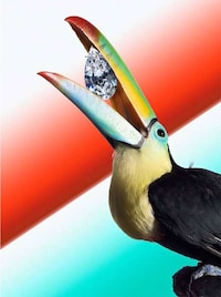 Overly Accessorized Animals Image 3