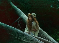 Wildly Whimsical Photography Image 5