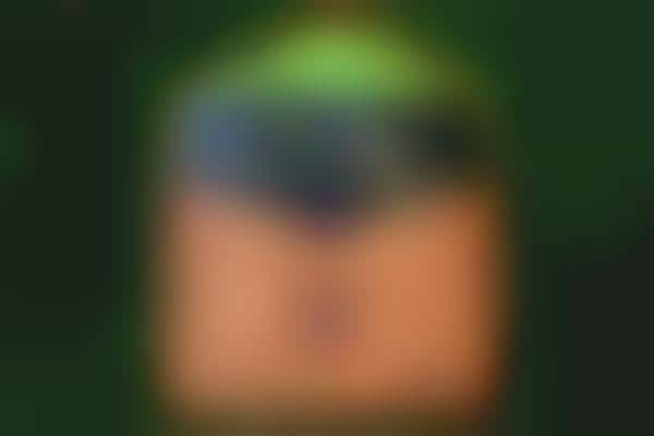 Vintage Eco Gadget Cases