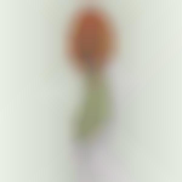 Sweetly Digitized Shoots