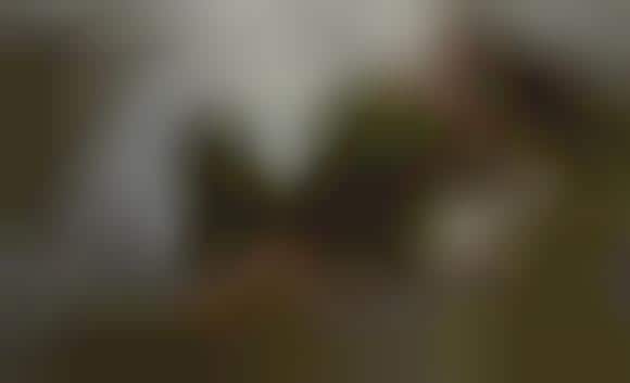 Quietly Intimate Captures
